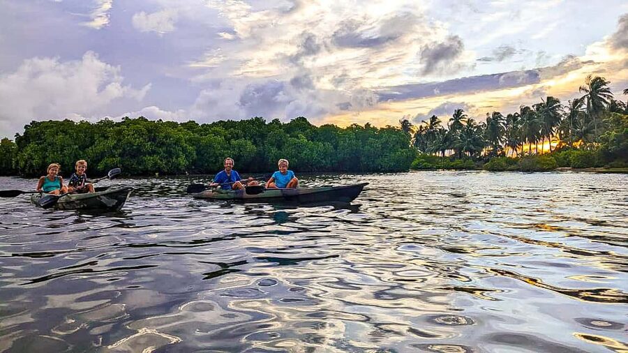 Negombo: Kayaking in the Lagoon - The guide’s role during the two hours