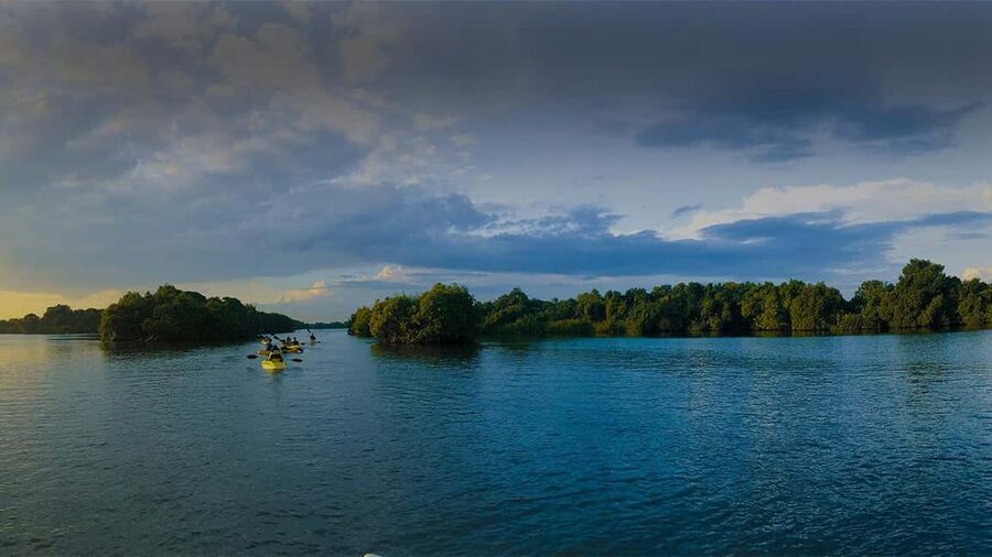 Negombo: Kayaking in the Lagoon - Who will enjoy this experience most?