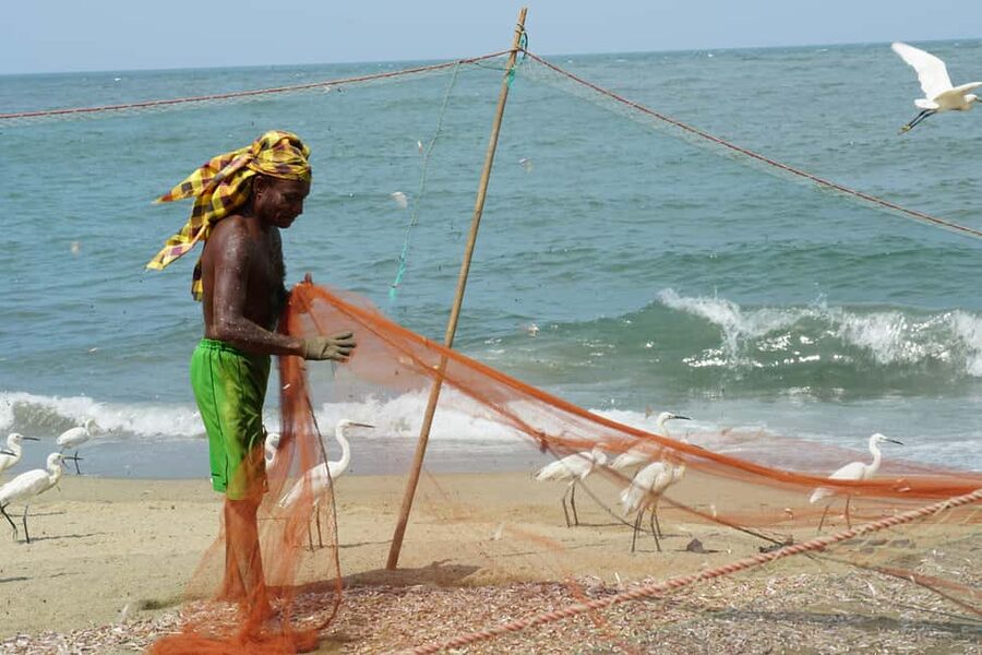 Negombo Private Tour: Market, Temples & Canal - Key points at a glance