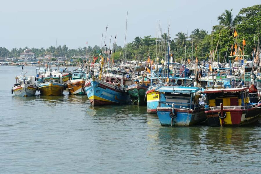 Negombo Private Tour: Market, Temples & Canal - Starting in Negombo’s coastal neighborhoods