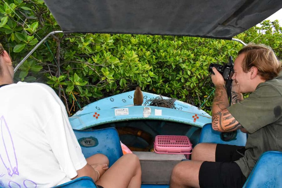 Negombo: Sunset lagoon boat tour with hotel transfers - Mangrove islands and Negombo’s lagoon life
