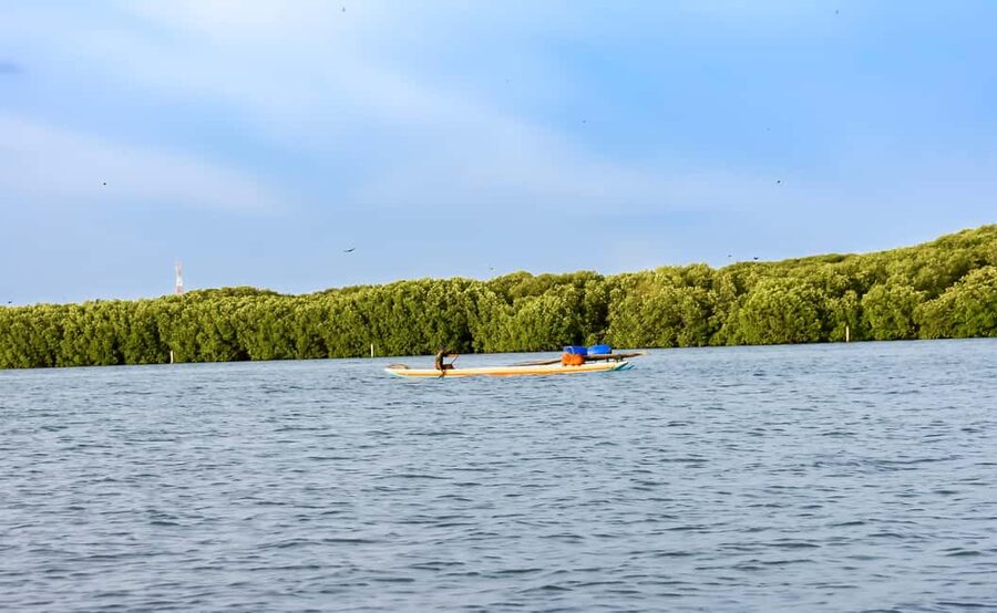 Negombo: Sunset lagoon boat tour with hotel transfers - Who should book this Negombo boat tour?