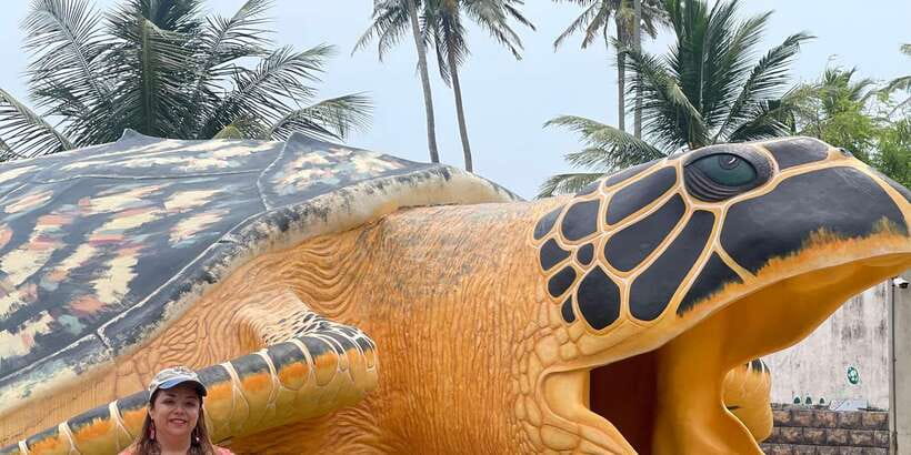 Negombo: Turtle hatchery, River safari, moon stone & Galle - Bentota Beach, A Quick Coastal Introduction