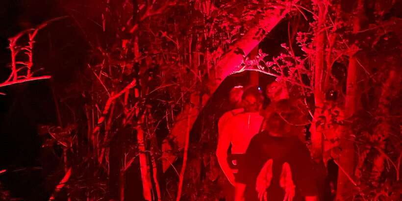 Night Hike to see Elusive & Rare Loris in Sigiriya - Who will enjoy this most