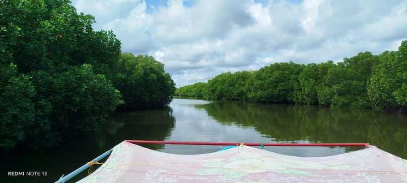 Nilaveli: Lagoon Boat Safari with Mangrove Exploration - Who should book this Nilaveli lagoon safari?