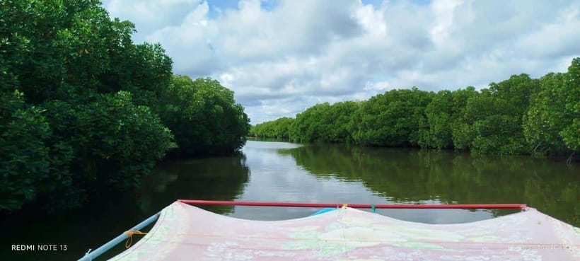 Nilaveli: Lagoon Boat Safari with Mangrove Exploration - A quiet side of Nilaveli at Irrakkandi Lagoon