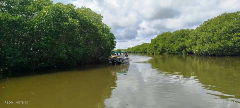 Nilaveli: Lagoon Boat Safari with Mangrove Exploration - Morning calm or evening sunset