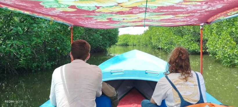 Nilaveli: Lagoon Boat Safari with Mangrove Exploration - Mangroves, birds, and the crocodile question