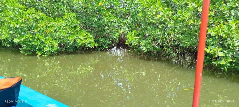 Nilaveli: Lagoon Boat Safari with Mangrove Exploration - The most personal part of the experience