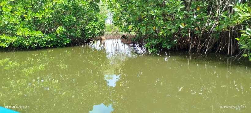 Nilaveli: Lagoon Boat Safari with Mangrove Exploration - Is $27 a fair price?