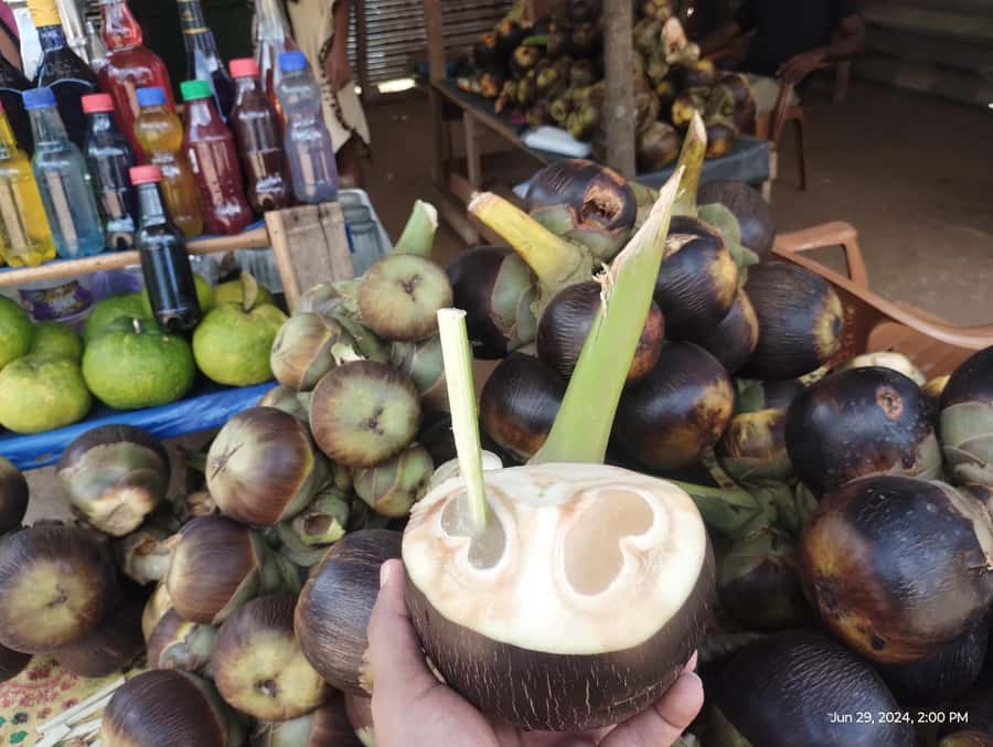 Nilaveli: Trinco City tour by Tuk Tuk - Kanniya hot springs and the missing cost to watch