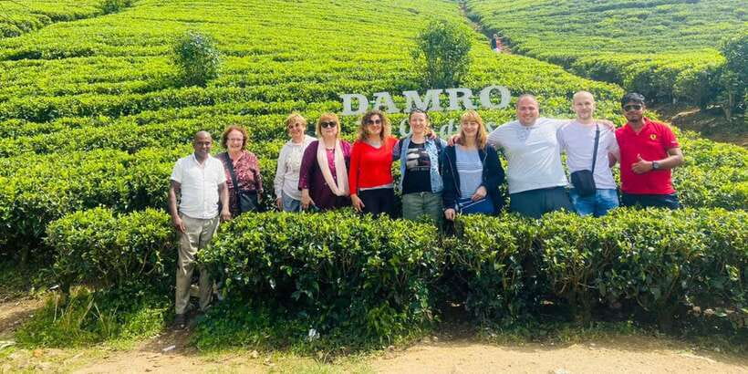 Nuwara Eliya Day Tour from Kandy (Private Tour) - From Kandy to Sri Lanka’s tea country