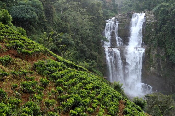 Nuwara Eliya from Kandy by Train - Why the Peradeniya to Nanuoya train matters