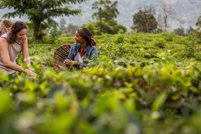 Nuwara Eliya from Kandy by Train - What the $76 price really covers