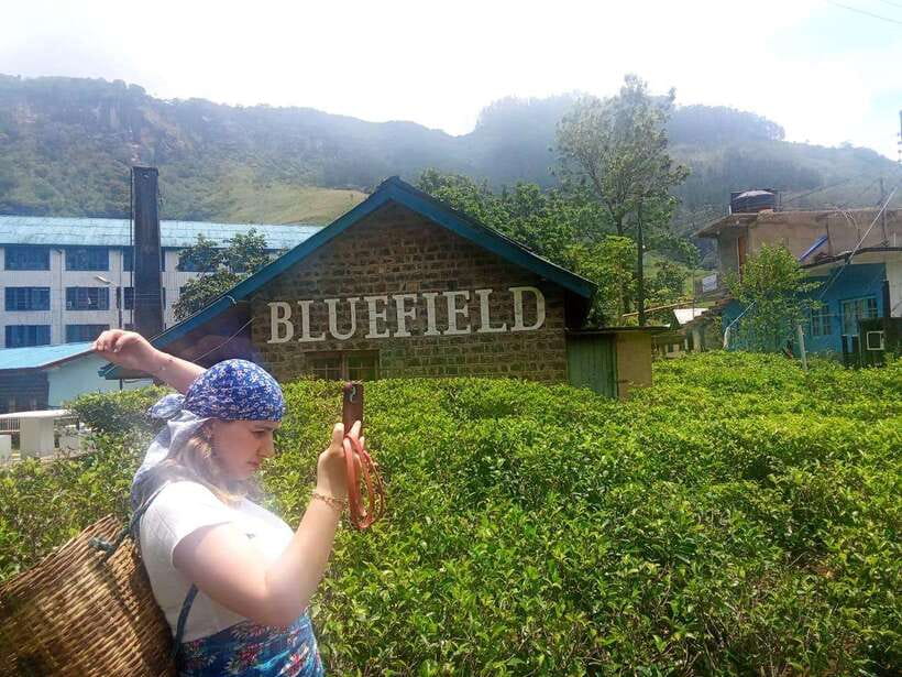 Nuwara Eliya Full day: 5Waterfalls, 2Tea Test & pick by TUK - Poona Ella, Dunsinane, and Ramboda