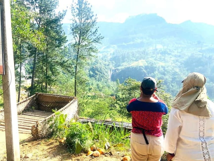 Nuwara Eliya Full day: 5Waterfalls, 2Tea Test & pick by TUK - What the tuk tuk ride is really like
