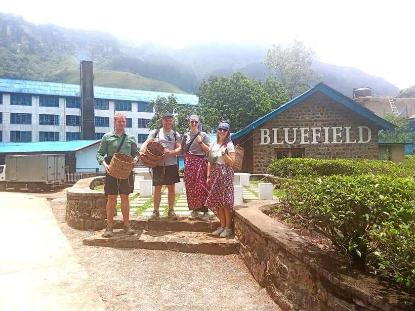 Nuwara Eliya: Tea Factory and Pickle Waterfalls Tuk Tuk Tour - Who will enjoy this tour most?