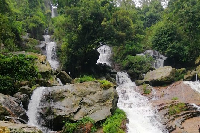 Nuwara Eliya Tea factory and waterfall tour - Comparing Oak Ray Tea Factory and Museum