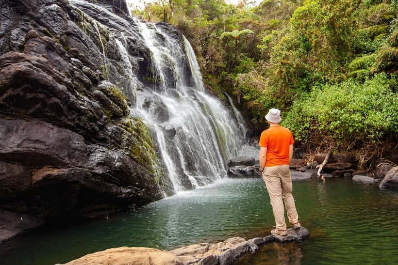 Nuwara Eliya to Horton Plains, Strawberry& Ambewela Farm TUK - Why Horton Plains is worth the early start
