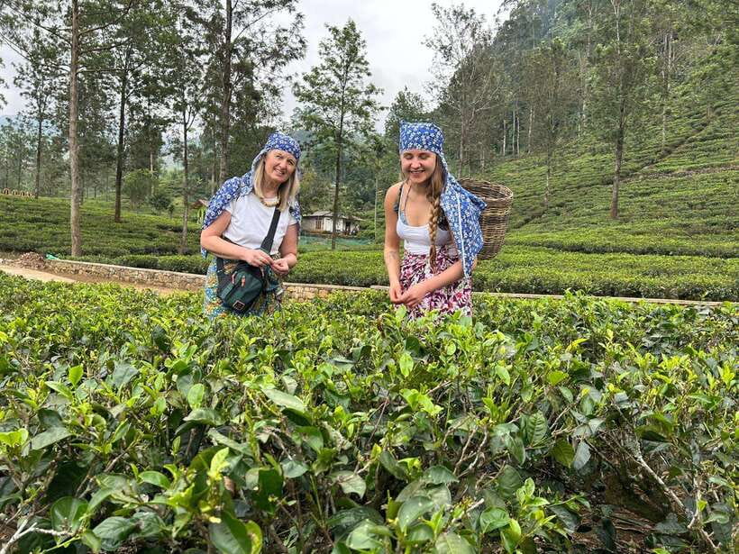 Nuwara Eliya Tuk-Tuk Tour Tea Picking,Tasting &Ramboda Falls - What the tea tasting really includes