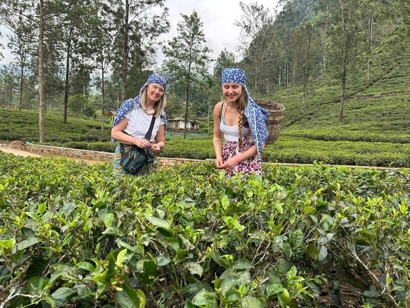 Nuwara Eliya Tuk-Tuk Tour Tea Picking,Tasting &Ramboda Falls - Guides, timing, and the personal touch