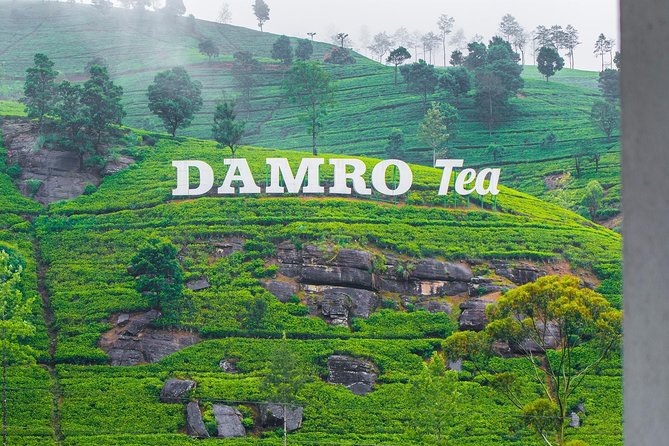 NuwaraEliya Tea Factory,Plantation & Water Falls Hike Tour by Car - Key points to know before booking