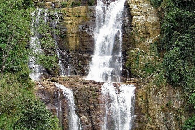 NuwaraEliya Tea Factory,Plantation & Water Falls Hike Tour by Car - From Nuwara Eliya hotels to the tea country