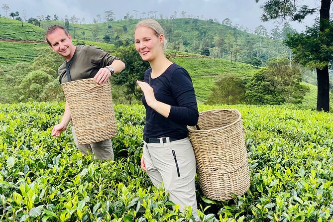 NuwaraEliya Tea Factory,Plantation & Water Falls Hike Tour by Car - Weather, walking, and the right pace