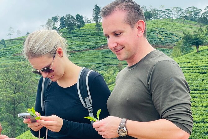NuwaraEliya Tea Factory,Plantation & Water Falls Hike Tour by Car - Who will enjoy this Nuwara Eliya tour most