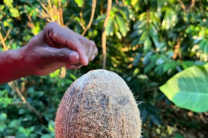 Organic cooking class sigiriya (kumara & family) - What the organic claim means here