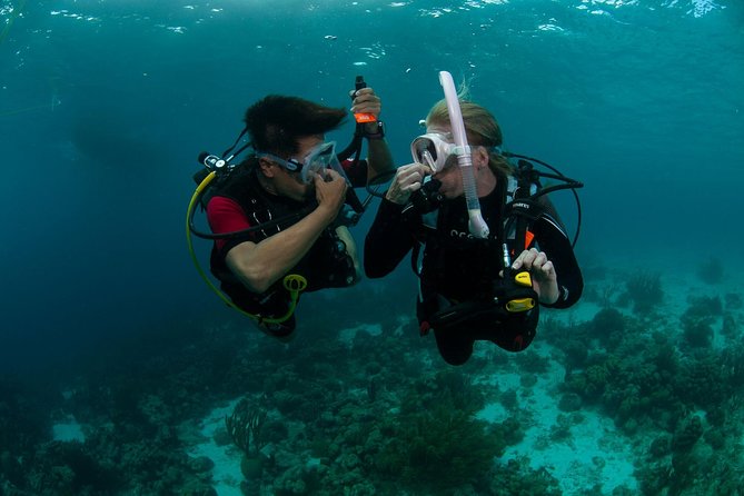 PADI Scuba Diver Course - Key points to know before booking