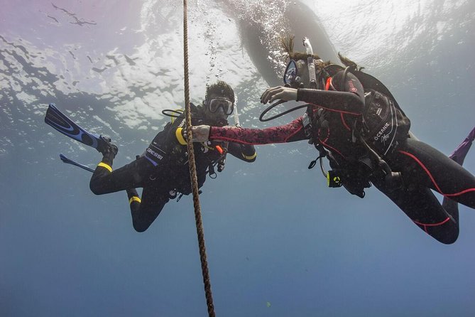 PADI Scuba Diver Course - Day one: theory without the classroom drag