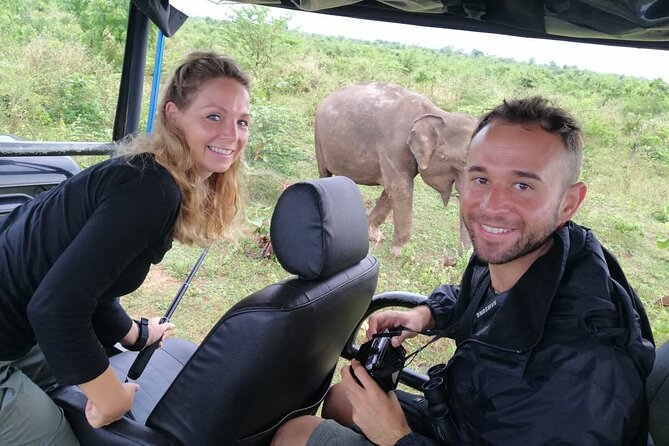Paradise Udawalawe Safari Tours - Why Udawalawe works as a half-day safari