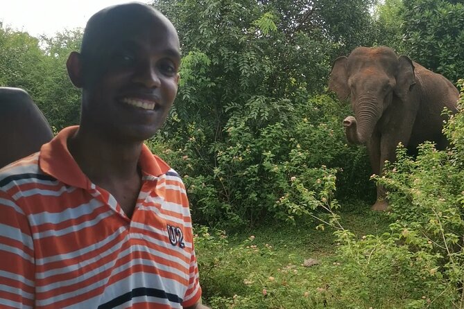 Paradise Udawalawe Safari Tours - Three hours among elephants and birds
