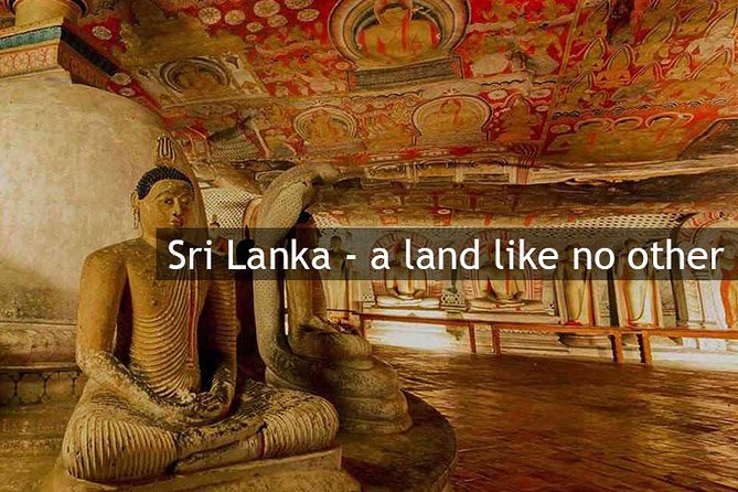 Personal Driver For Your Two Weeks Round Tour In Sri Lanka - Wildlife choices at Minneriya, Kaudulla, Udawalawe, Yala, and Wilpattu
