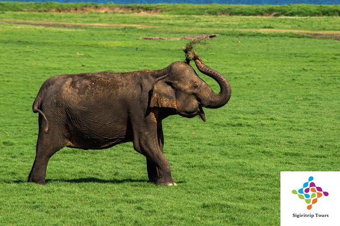 Personal Driver For Your Two Weeks Round Tour In Sri Lanka - Ella’s bridges, peaks, and long walks