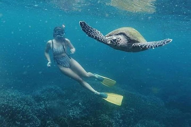 Pigeon Island Snorkeling – Swim with Sharks & Turtles - Reaching Pigeon Island from Nilaveli