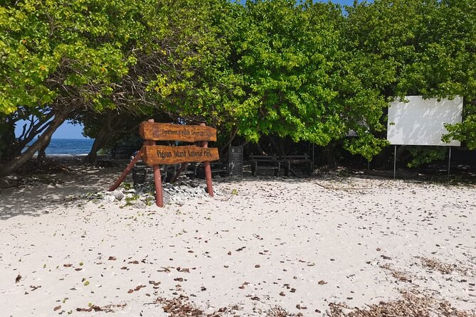 Pigeon Island Snorkeling – Swim with Sharks & Turtles - Who will get the most from this trip