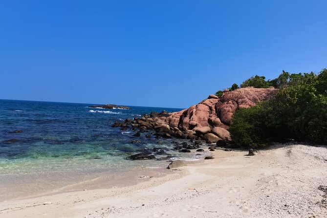 Pigeon Island Snorkeling – Swim with Sharks & Turtles - Pigeon Island’s underwater sights
