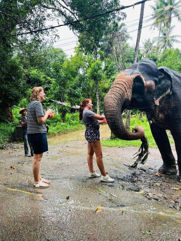 Pinnawala Day Tour from Kandy (Private tour ) - How your guide shapes the day