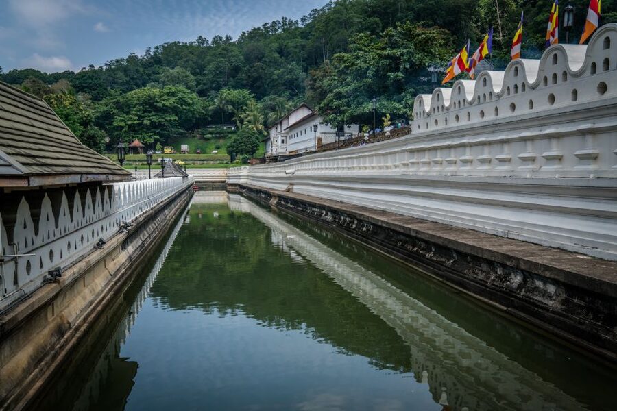 Pinnawala & Kandy Day Tour from Negombo - The museum stop and what to expect from shopping
