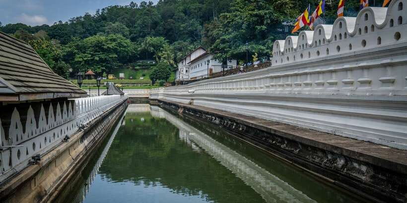 Pinnawala & Kandy Day Tour from Negombo - A respectful hour at the Sacred Tooth Relic