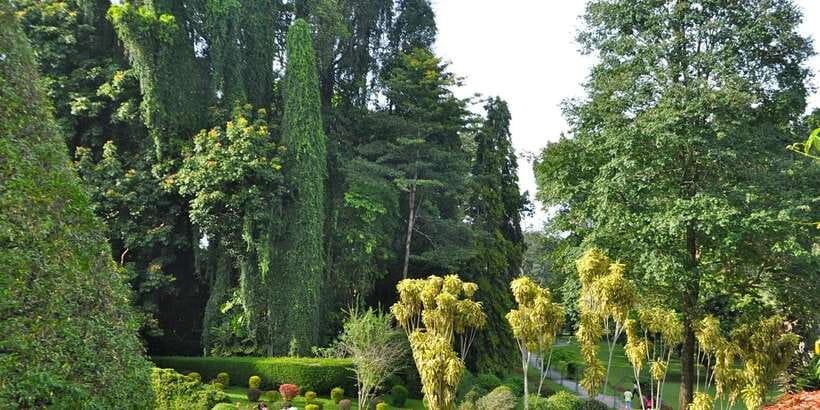 Pinnawala & Kandy Day Tour from Negombo - The road from Negombo to Pinnawala