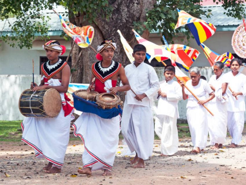 Polonnaruwa Day Tour With Minneriya NP Elephant Safari - Minneriya safari: the elephants are the main attraction