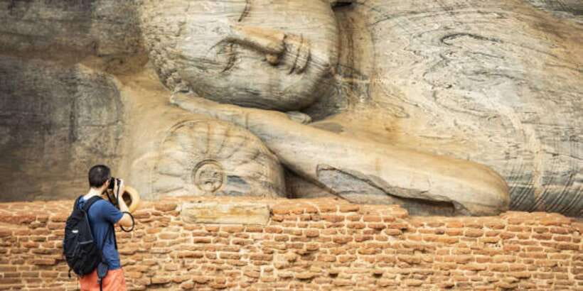 Polonnaruwa Day Tour With Minneriya NP Elephant Safari - What the private jeep arrangement means for you