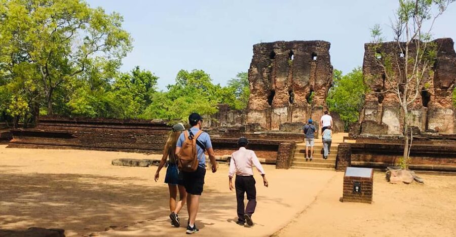 Polonnaruwa Sight Seeing Tour and Minneriya Elephant Safari - Who should choose this tour?