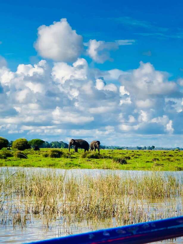 Pottuvil Lagoon Eco Tour : Mangrove Adventure in Arugam Bay - Key things to know before you go