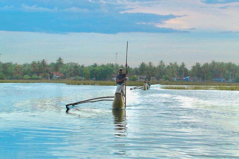 Pottuvil Lagoon Eco Tour : Mangrove Adventure in Arugam Bay - Elephants add the unforgettable moment