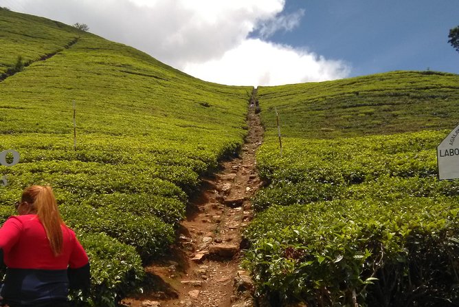 Private all inclusive Day tour Kandy, Pinnawala, & your own selected attractions - The 6:30 a.m. start from Negombo