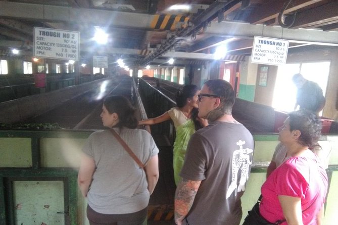 Private all inclusive Day tour Kandy, Pinnawala, & your own selected attractions - The Island Spice Grove and its complimentary massage